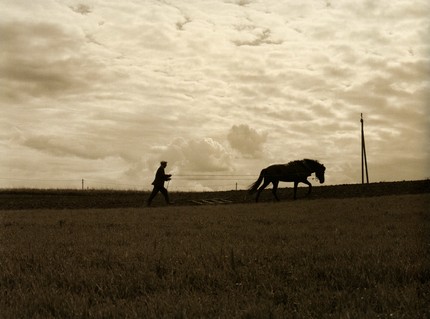 Пахарь, 2005